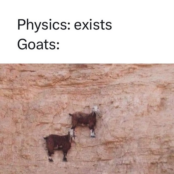 Thats why they're called "GOATS" - meme