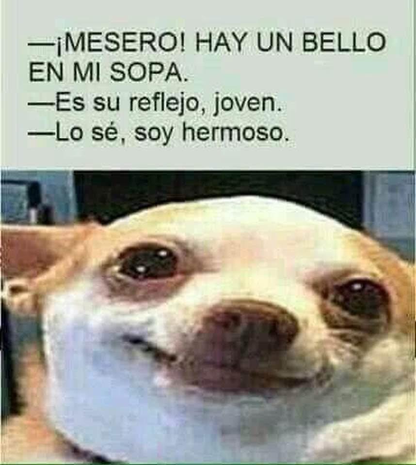 Mi humor está roto - meme