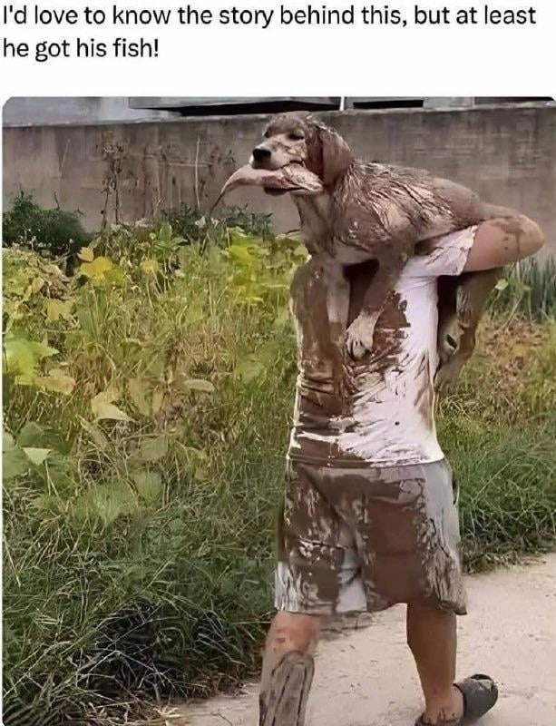 whatever happened here, he got the fish and that's what matters - meme