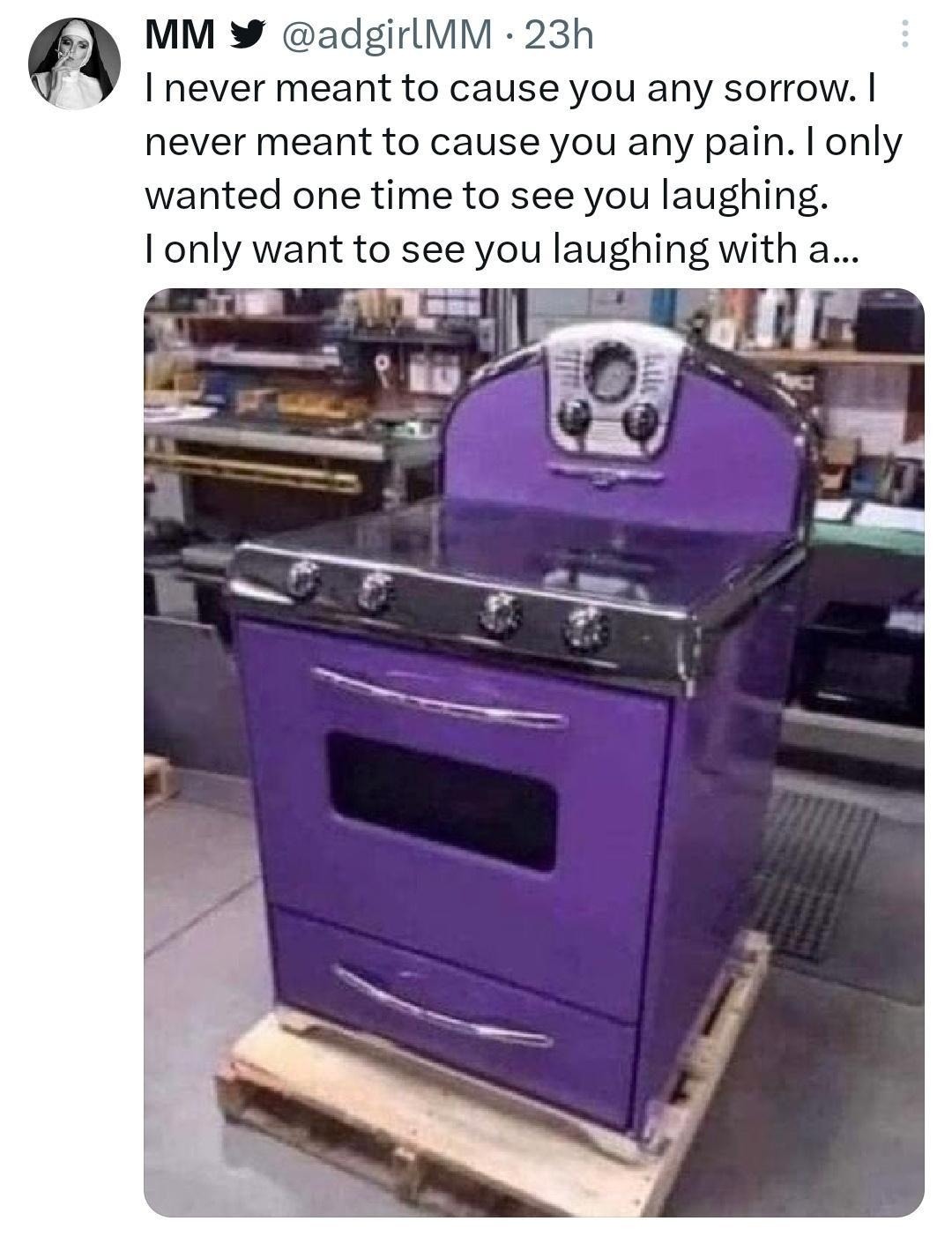 I never meant to cause you any soup-related sorrow - meme