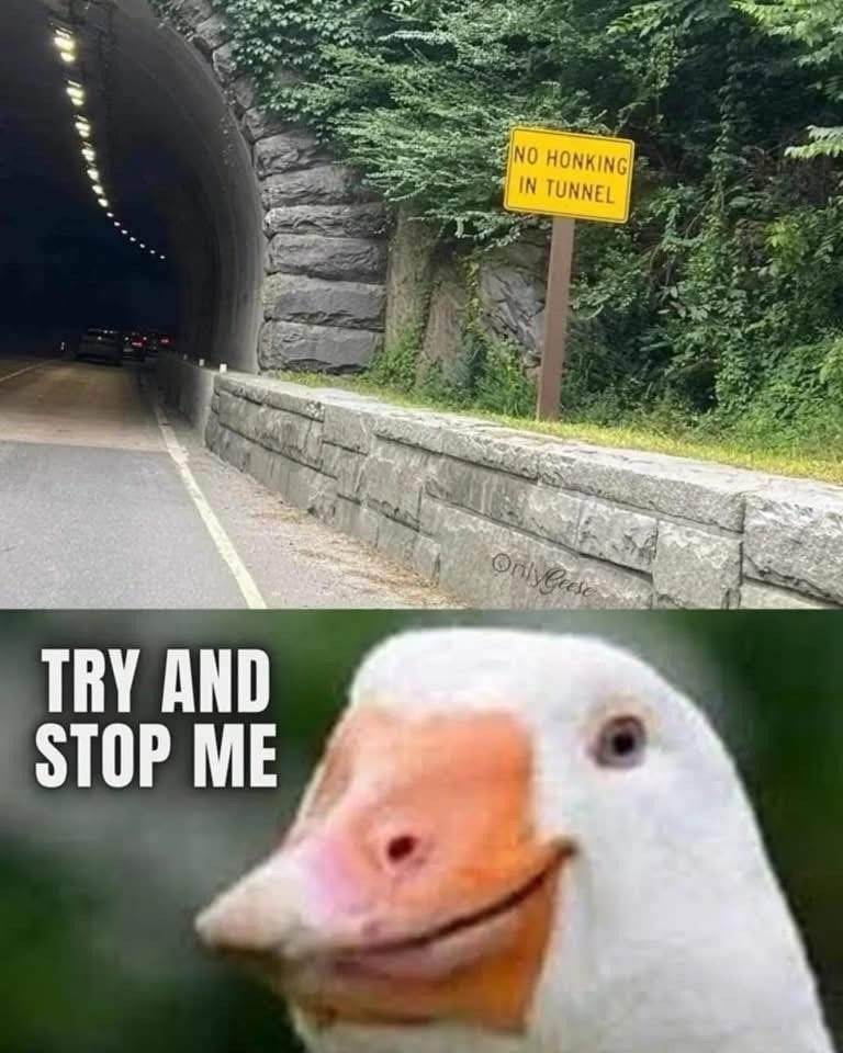 Try and stop me honking in the tunnel - meme