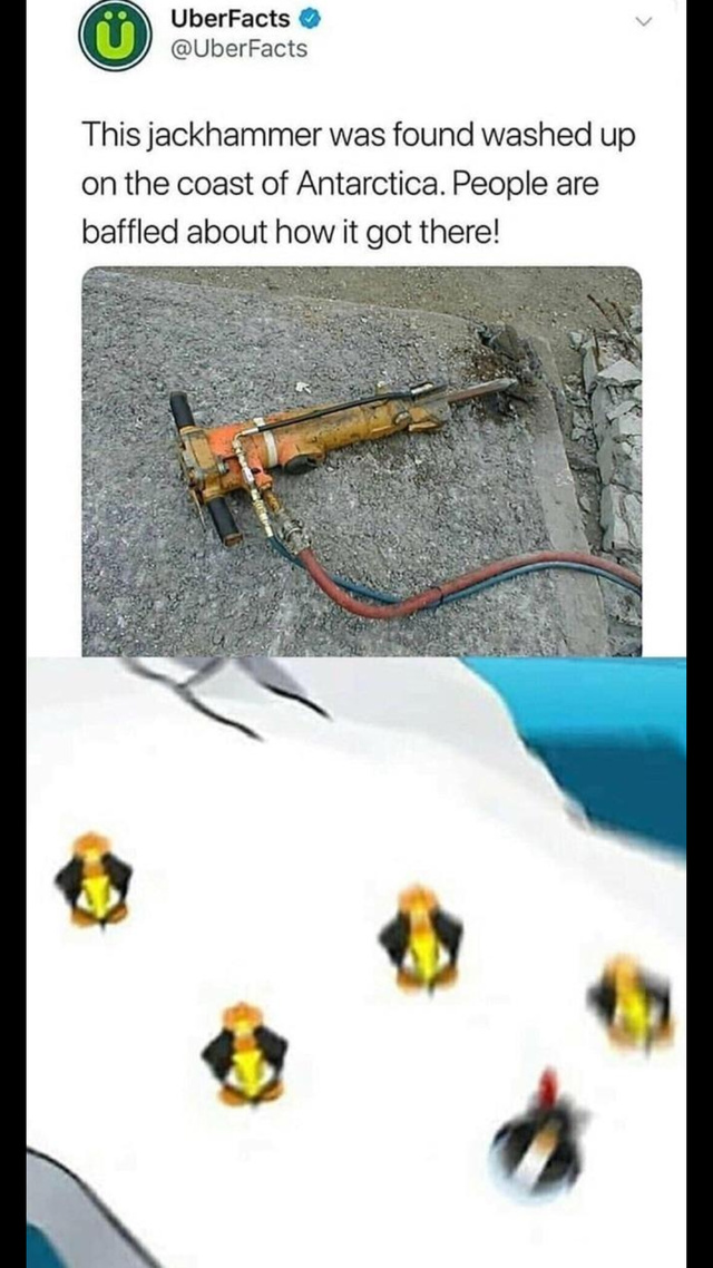 Jackhammer found washed up on the coast of Antarctica - meme