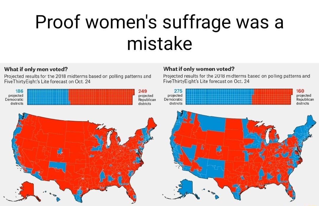 Women's suffrage - meme