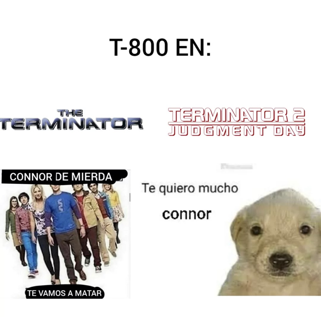 T-800 en terminator 3: Muevanse perras el dia del juicio ya llego - meme