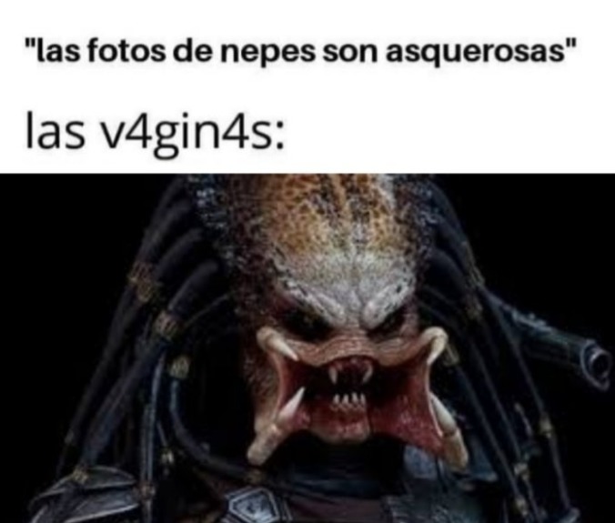 LAS VAJINAS DAN ASCO - meme