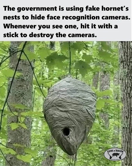 they're putting face cams in fake hornet nests now? - meme