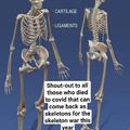 Skeleton war