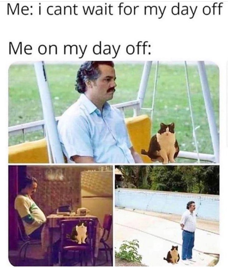 Day off - meme