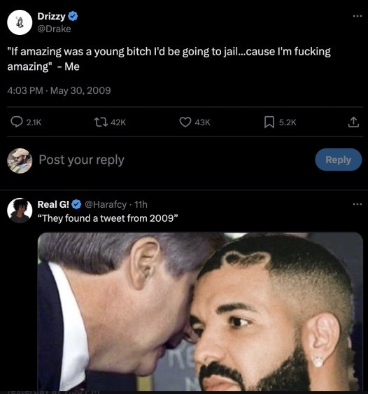 Drizzy diddling disaster - meme