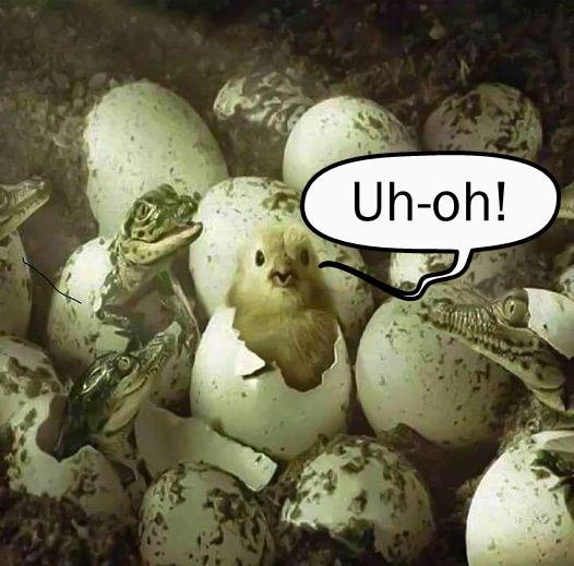 Inadvertently finding oneself in a thread filled with trolls and socket puppet accounts. - meme