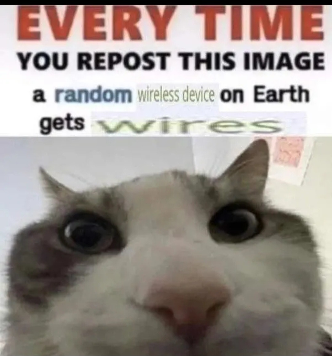Hehehehehe - meme