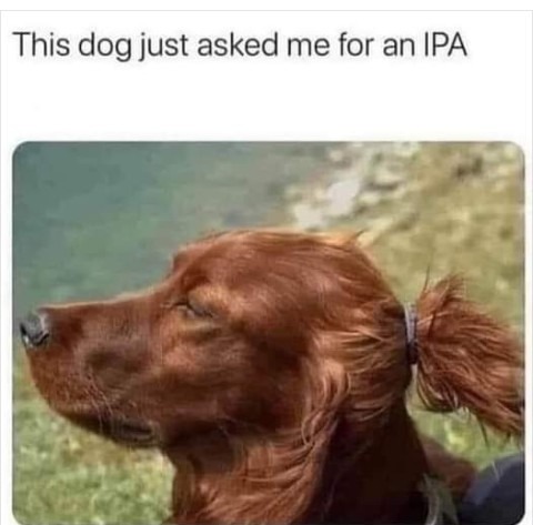 His owner probably says he's vegan too - meme