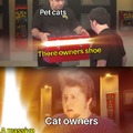 Funny cat owners meme