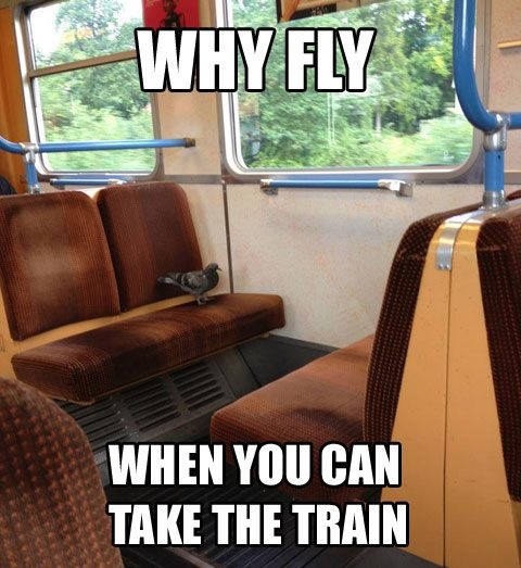 Why fly? - meme
