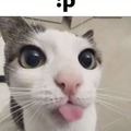 commented item thumbnail