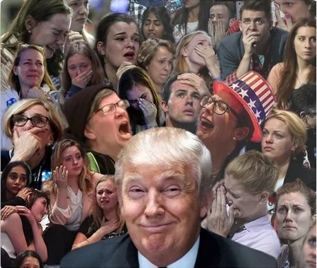 Trump wins the elections meme