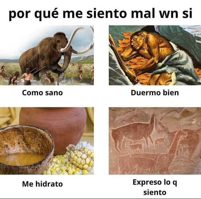 por qué te sientes mal si - meme