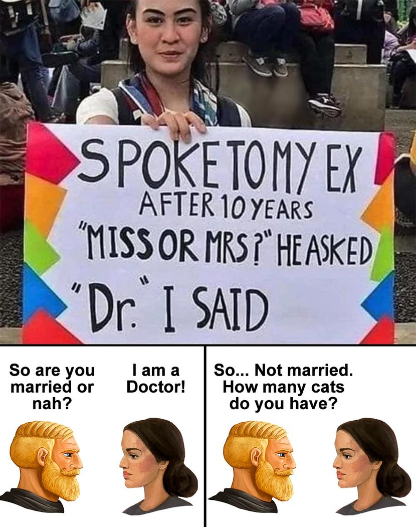 Doctor Feminist - meme