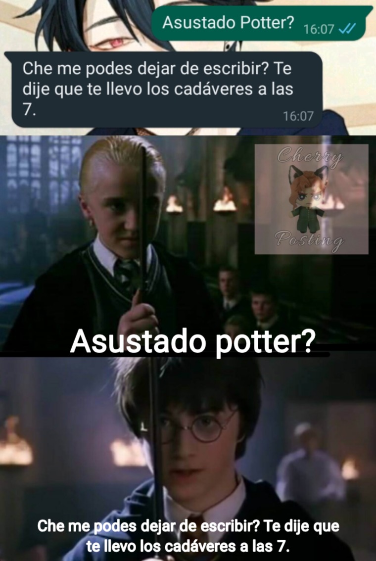 Son solo negocios Potter - meme