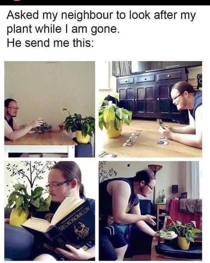 Plantsitter - meme