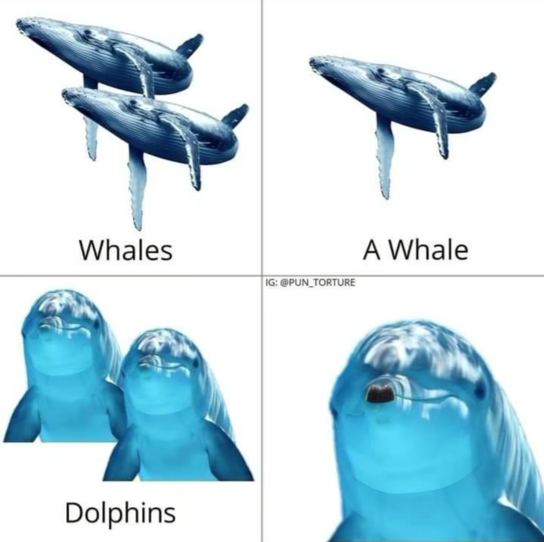 A Dolph - meme