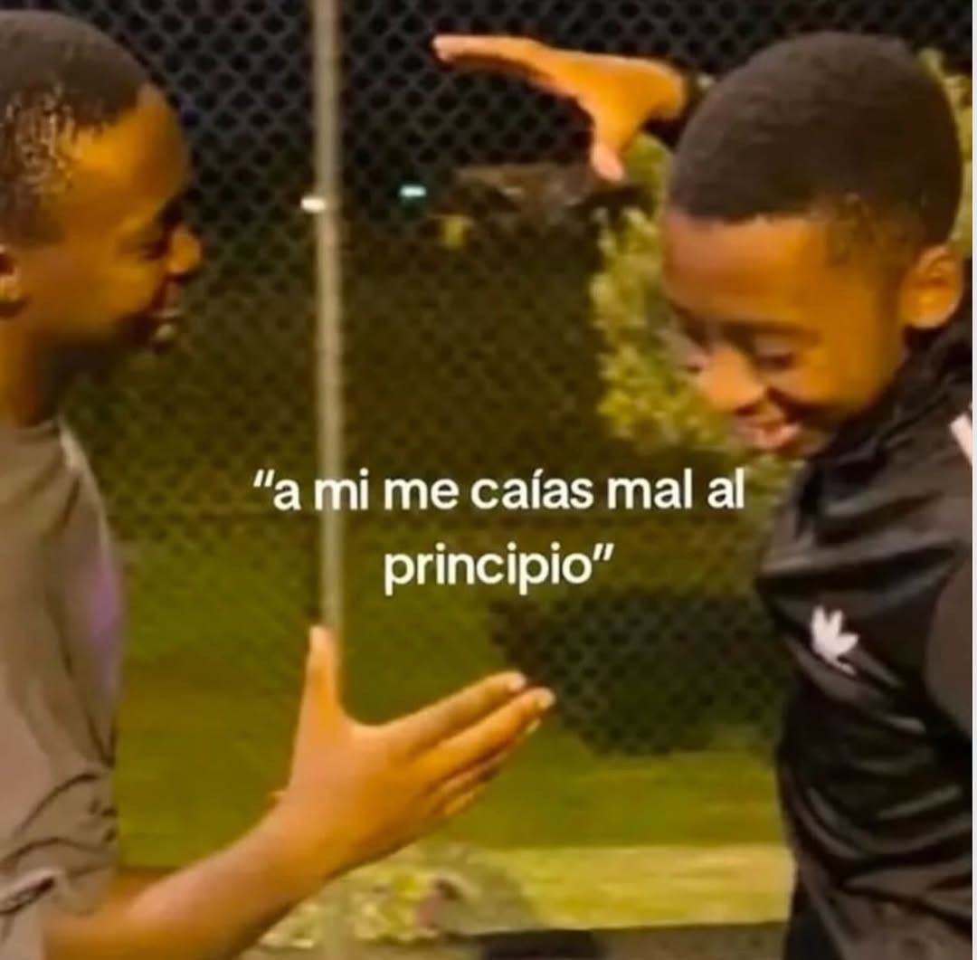 Al principio me caías mal pero luego tampoco - meme