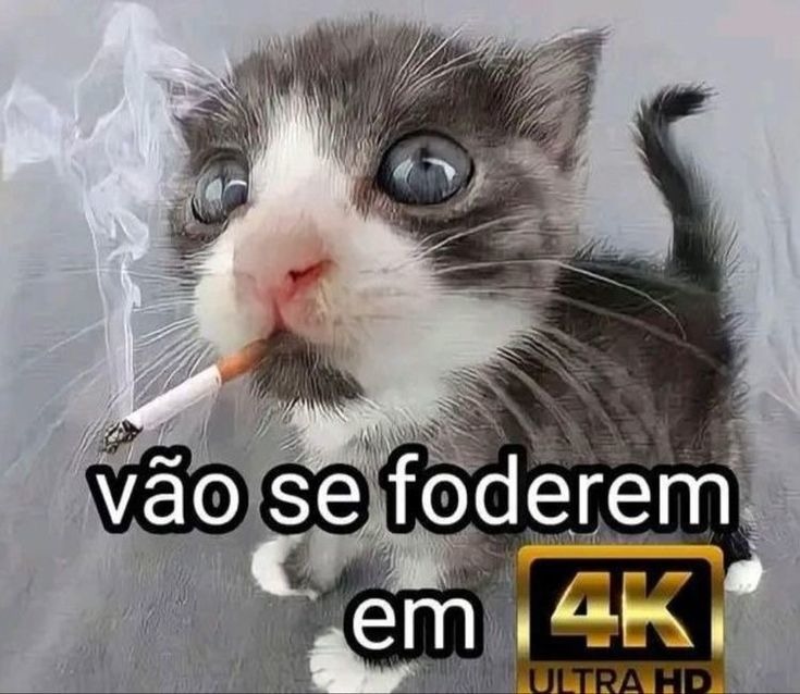 Cadê os meme que eu envie nessa bosta