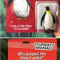 Dumb Penguin
