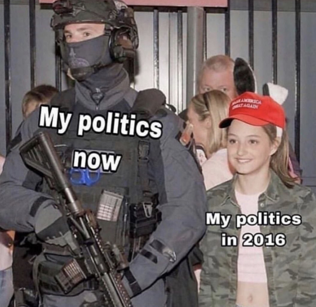 dongs in a politick - meme