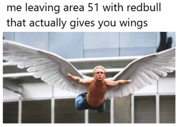 Red Bull gives you wings - meme