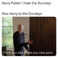 Harry and the Dursleys