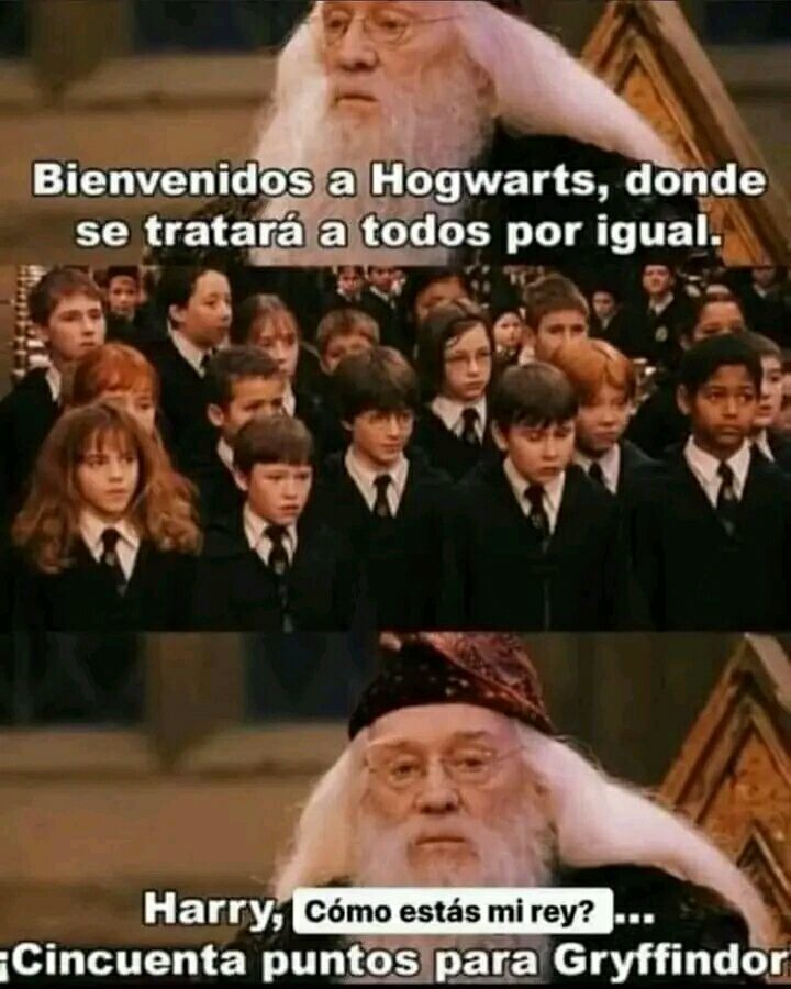 Harry Potter 1 Resumido - meme