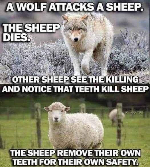 I wouldn't have a problem with the sheepe if only the sheep just left me and my teeth alone. - meme