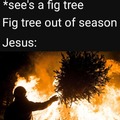 F that tree in particular