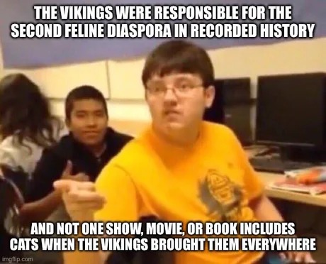 Vikings and cats - meme