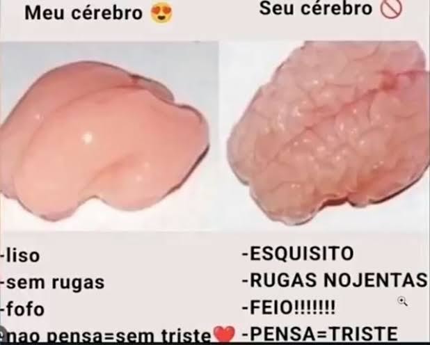 Big brain - meme