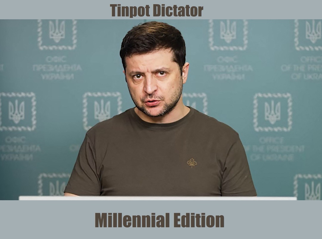 Cancelling Elections to Save Democracy - meme