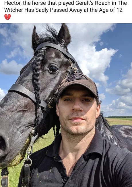 the horse that played Geralt's Roach in The Witcher has passed away - meme