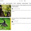 commented item thumbnail
