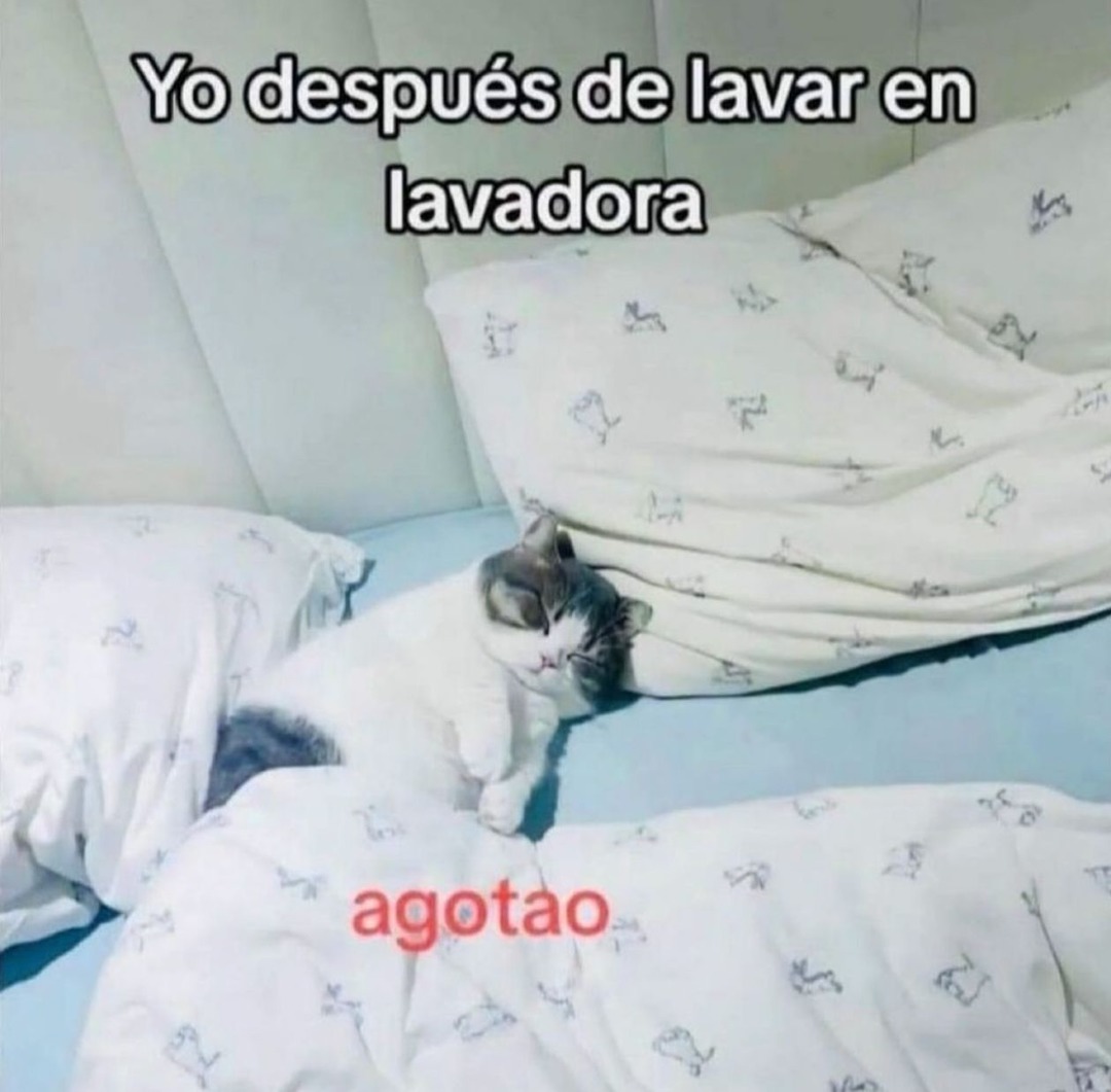 Agotao - meme