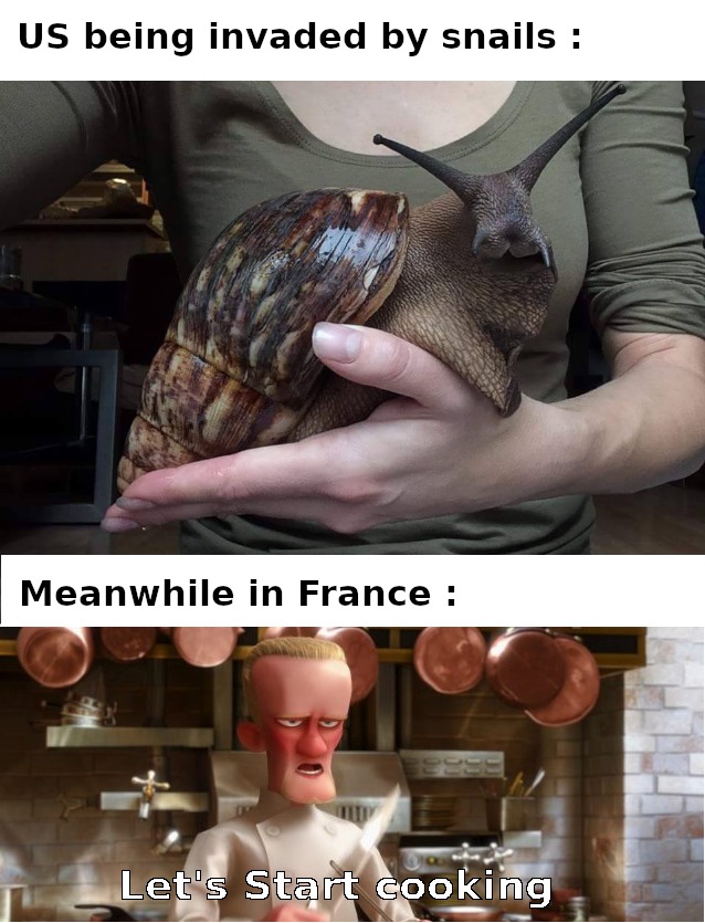 Snails in France - meme