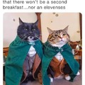 Funny cat hobbits meme