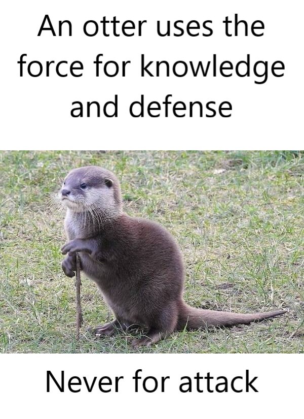 Otters are stong with the force - meme