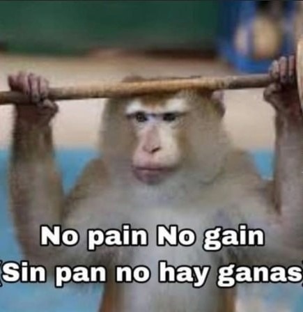 No pain no gain - meme