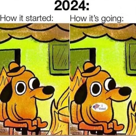 Funny 2024 voting day meme