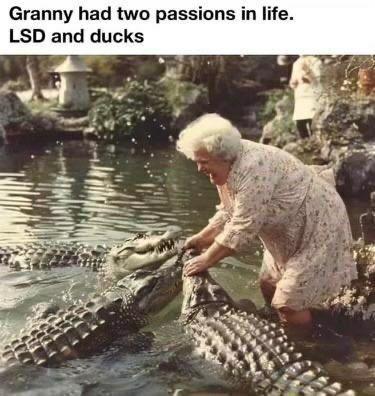 Granny and the ducks - meme