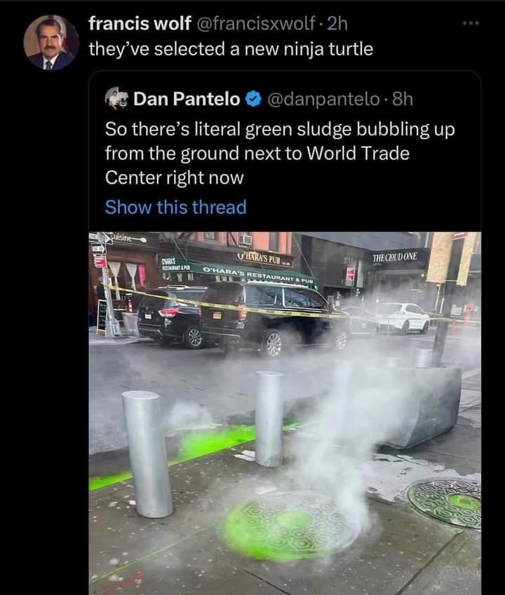 New Ninja Turtle unlocked near the WTC sludge pit - meme