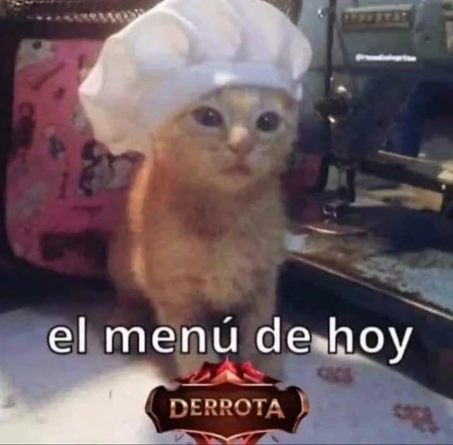 hoy en el menú tenemos derrota con extra de tristeza - meme