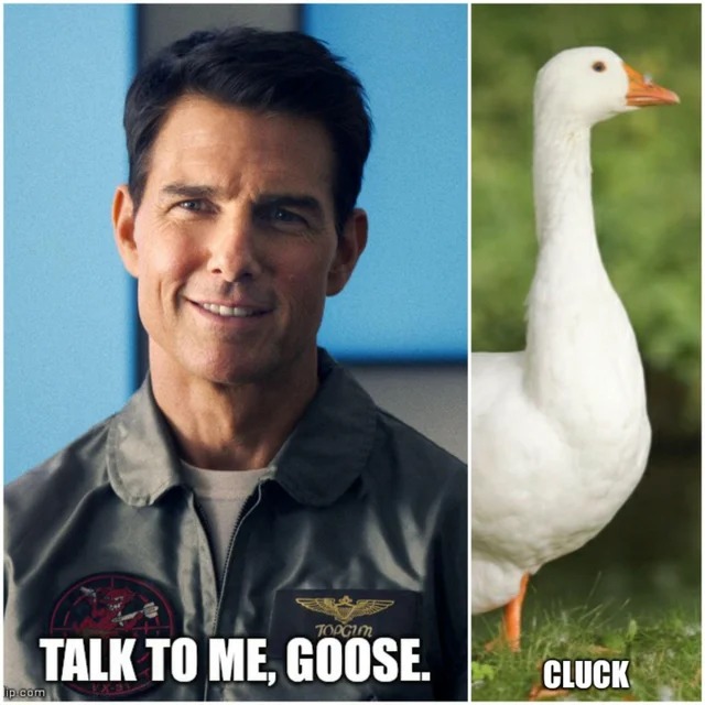 Top Gun Maverick and Goose meme
