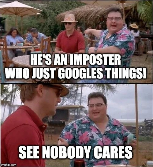Nobody cares about code copied from the web - meme